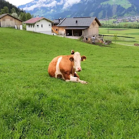 In Zillertal Near Spieljochbahn, Cleaning Included Apartment